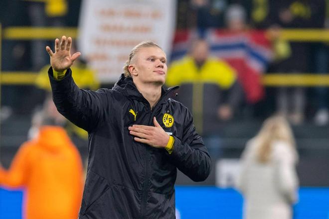 以强势中野 以强势中野