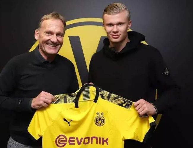 影响与展望 影响与展望